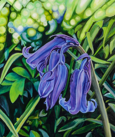 Bluebells