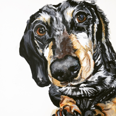 Rocky Long Dog