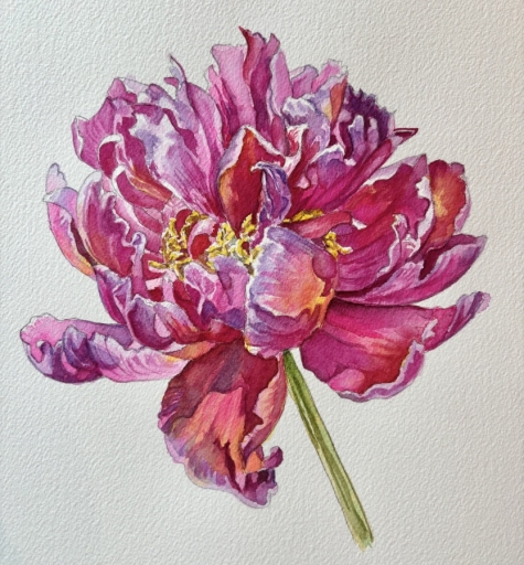 Peonie
